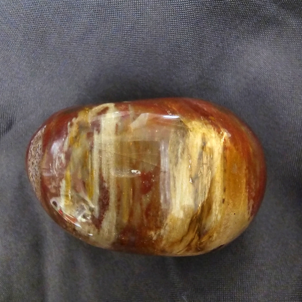 Petrified Wood